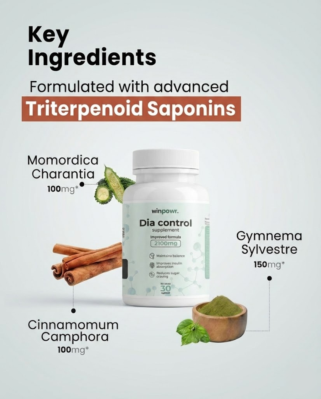 Winpowr's DiaControl – Natural Blood Sugar & Glucose Management